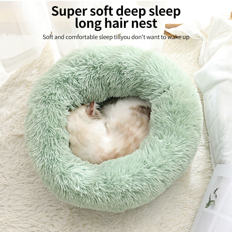 Puff cama para gatos