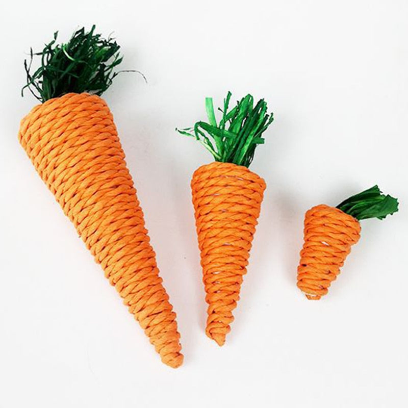 Cenoura de brinquedo