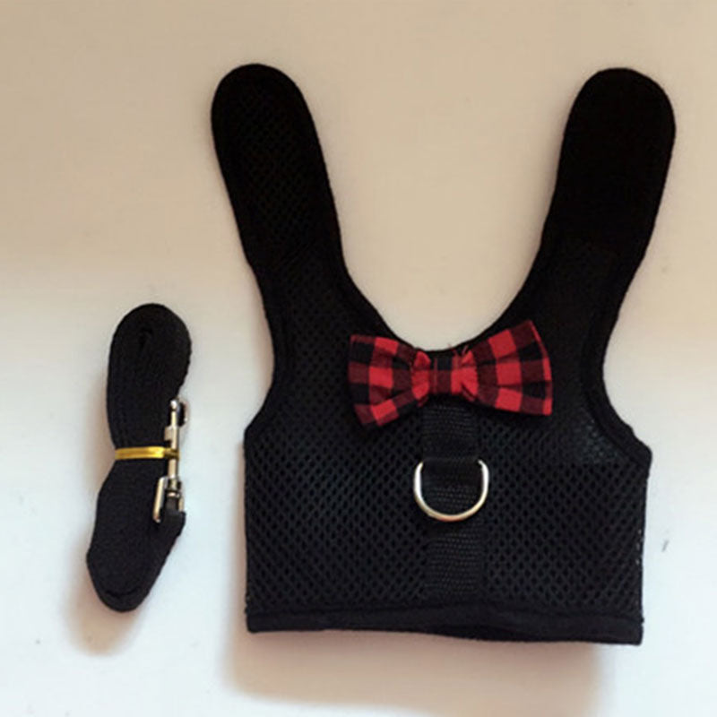 Coleira para coelhos