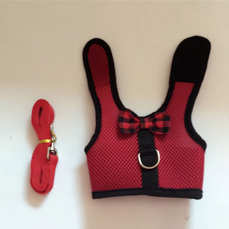 Coleira para coelhos