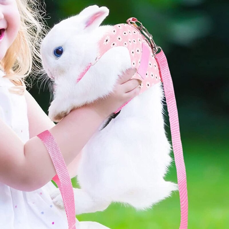 Coleira para coelhos