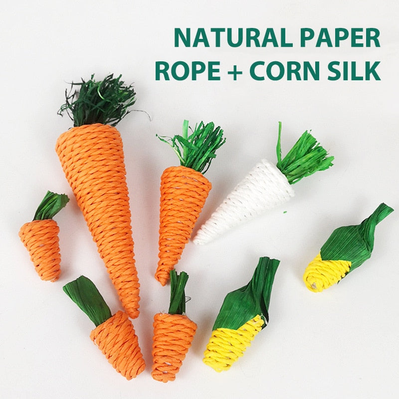 Cenoura de brinquedo