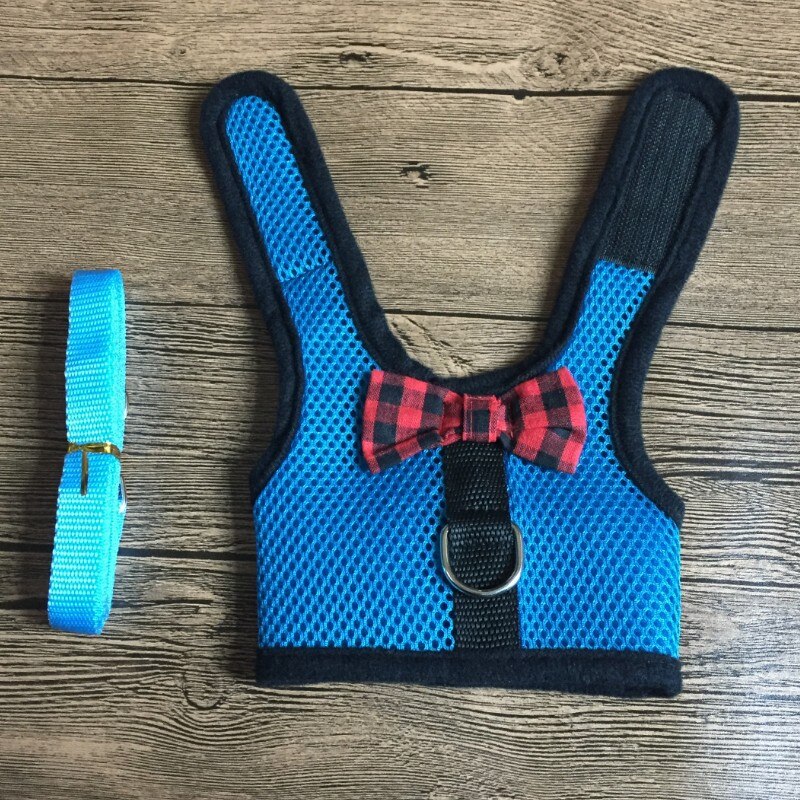 Coleira para coelhos